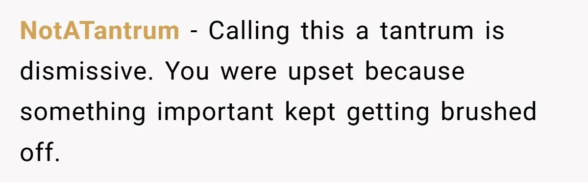 NotATantrum - Calling this a tantrum is dismissive. You were upset because something important kept getting brushed off.