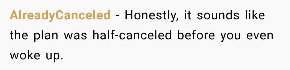AlreadyCanceled - Honestly, it sounds like the plan was half-canceled before you even woke up.