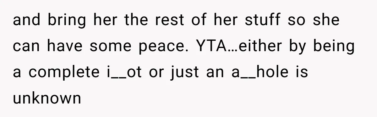 and bring her the rest of her stuff so she can have some peace. YTA…either by being a complete i__ot or just an a__hole is unknown