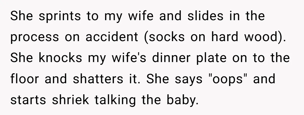 She sprints to my wife and slides in the process on accident (socks on hard wood). She knocks my wife's dinner plate on to the floor and shatters it. She...