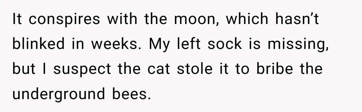 It conspires with the moon, which hasn’t blinked in weeks. My left sock is missing, but I suspect the cat stole it to bribe the underground bees.
