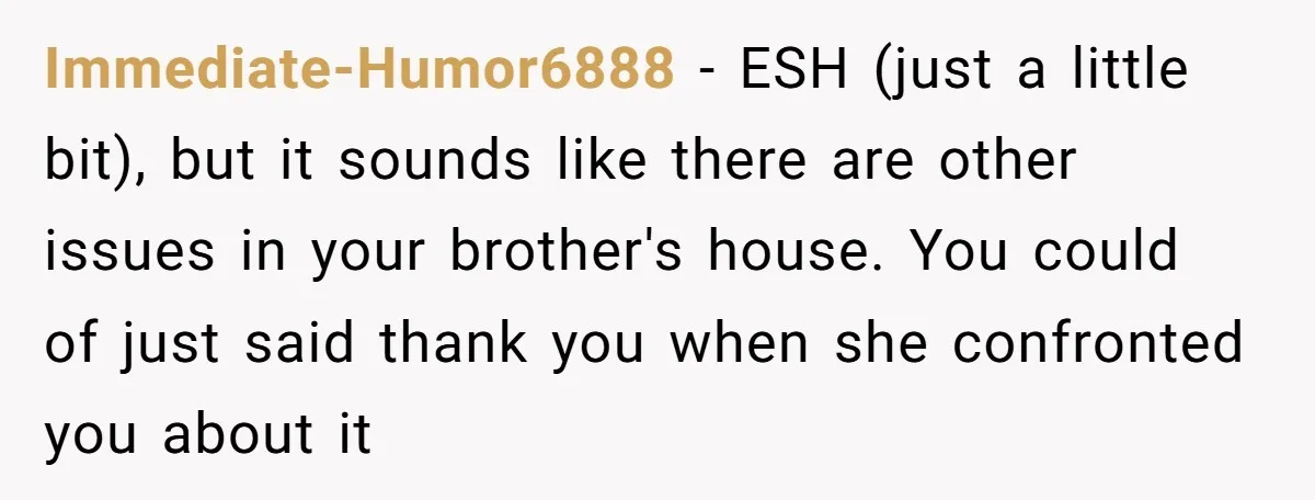 Immediate-Humor6888 − ESH (just a little bit), but it sounds like there are other issues in your brother's house. You could of just said thank you when she confronted you...