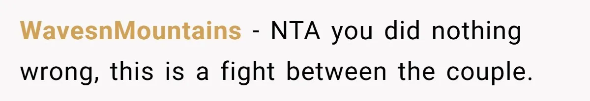WavesnMountains − NTA you did nothing wrong, this is a fight between the couple.