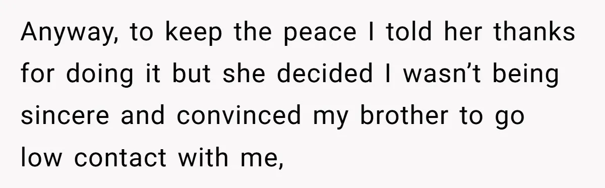 Anyway, to keep the peace I told her thanks for doing it but she decided I wasn’t being sincere and convinced my brother to go low contact with me,