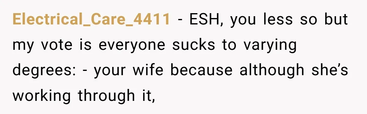 Electrical_Care_4411 - ESH, you less so but my vote is everyone sucks to varying degrees: - your wife because although she’s working through it,