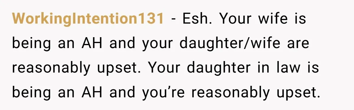 WorkingIntention131 - Esh. Your wife is being an AH and your daughter/wife are reasonably upset. Your daughter in law is being an AH and you’re reasonably upset.