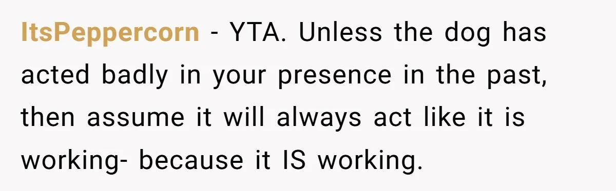 ItsPeppercorn − YTA. Unless the dog has acted badly in your presence in the past, then assume it will always act like it is working- because it IS working.
