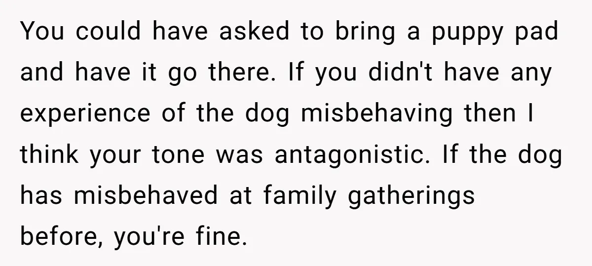 You could have asked to bring a puppy pad and have it go there. If you didn't have any experience of the dog misbehaving then I think your tone was...