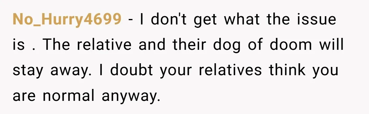 No_Hurry4699 − I don't get what the issue is . The relative and their dog of doom will stay away. I doubt your relatives think you are normal anyway.