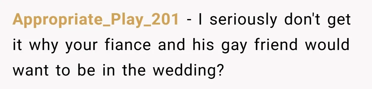 Appropriate_Play_201 − I seriously don't get it why your fiance and his gay friend would want to be in the wedding?