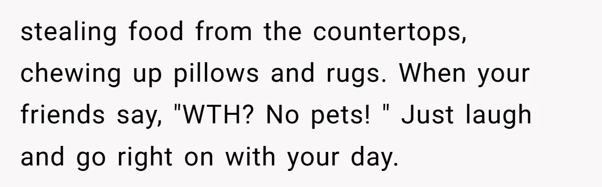 stealing food from the countertops, chewing up pillows and rugs. When your friends say, "WTH? No pets! " Just laugh and go right on with your day.