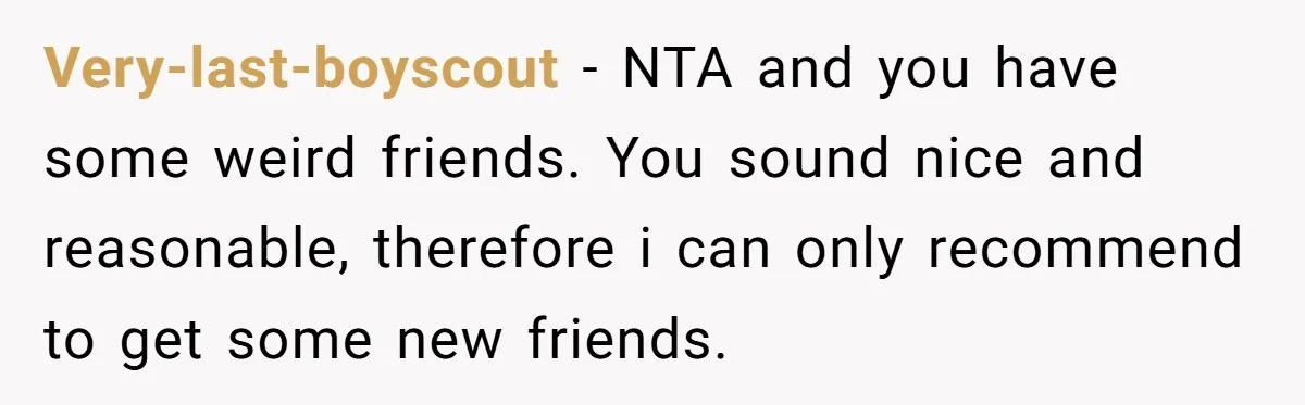 Very-last-boyscout - NTA and you have some weird friends. You sound nice and reasonable, therefore i can only recommend to get some new friends.