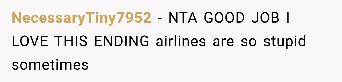 NecessaryTiny7952 − NTA GOOD JOB I LOVE THIS ENDING airlines are so stupid sometimes