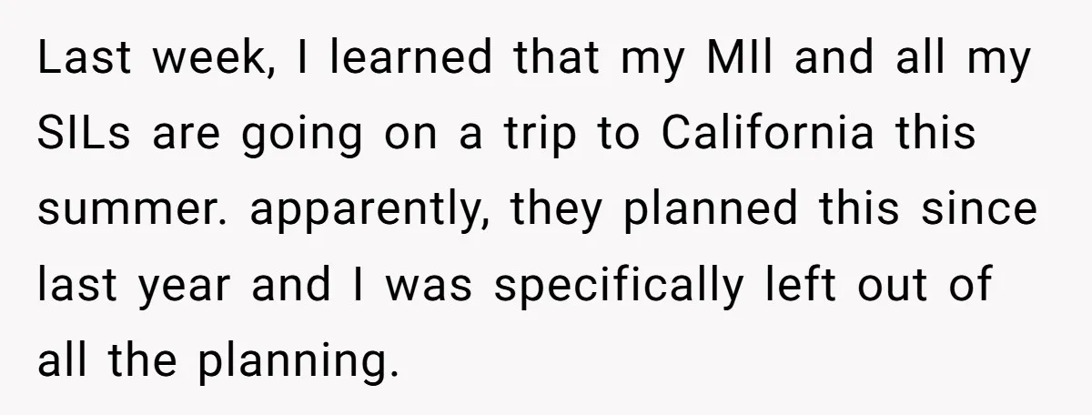 Last week, I learned that my MIl and all my SILs are going on a trip to California this summer. apparently, they planned this since last year and I was...