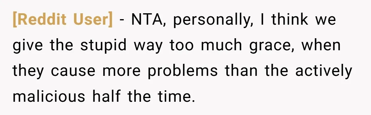 [Reddit User] − NTA, personally, I think we give the stupid way too much grace, when they cause more problems than the actively malicious half the time.
