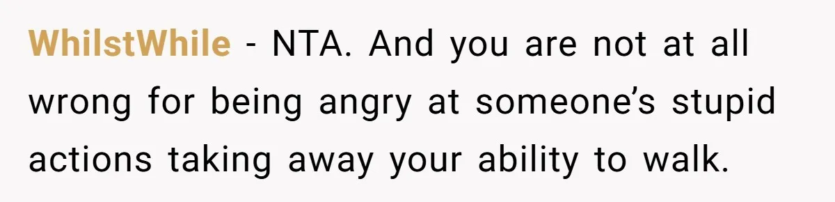 WhilstWhile − NTA. And you are not at all wrong for being angry at someone’s stupid actions taking away your ability to walk.