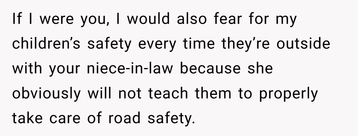 If I were you, I would also fear for my children’s safety every time they’re outside with your niece-in-law because she obviously will not teach them to properly take care...