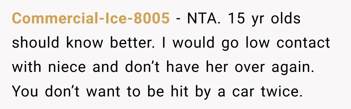 Commercial-Ice-8005 − NTA. 15 yr olds should know better. I would go low contact with niece and don’t have her over again. You don’t want to be hit by a...