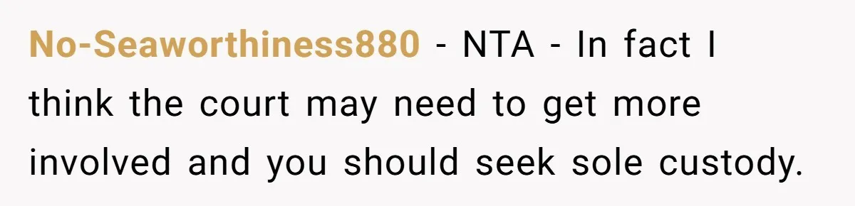 No-Seaworthiness880 − NTA - In fact I think the court may need to get more involved and you should seek sole custody.