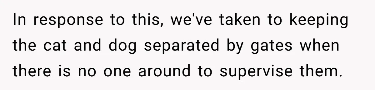 In response to this, we've taken to keeping the cat and dog separated by gates when there is no one around to supervise them.