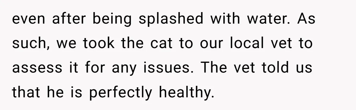 even after being splashed with water. As such, we took the cat to our local vet to assess it for any issues. The vet told us that he is perfectly...