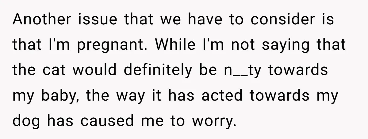 Another issue that we have to consider is that I'm pregnant. While I'm not saying that the cat would definitely be n__ty towards my baby, the way it has acted...