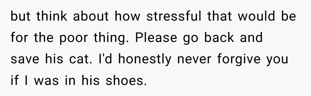 but think about how stressful that would be for the poor thing. Please go back and save his cat. I'd honestly never forgive you if I was in his shoes.