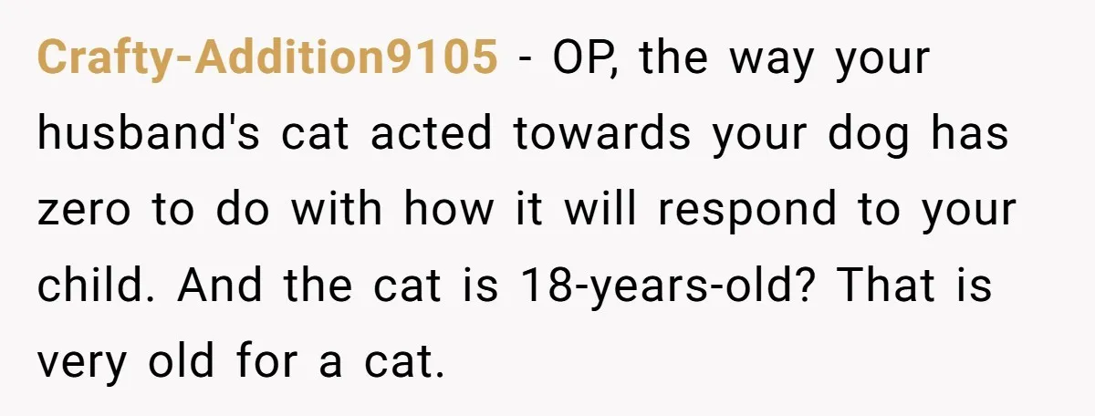 Crafty-Addition9105 − OP, the way your husband's cat acted towards your dog has zero to do with how it will respond to your child. And the cat is 18-years-old? That...