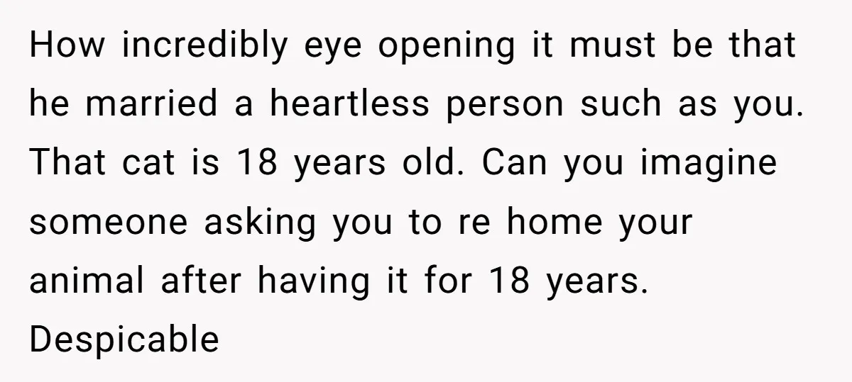 How incredibly eye opening it must be that he married a heartless person such as you. That cat is 18 years old. Can you imagine someone asking you to re...