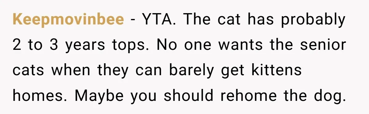 Keepmovinbee − YTA. The cat has probably 2 to 3 years tops. No one wants the senior cats when they can barely get kittens homes. Maybe you should rehome the...