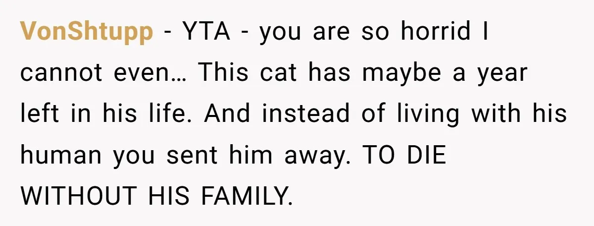 VonShtupp − YTA - you are so horrid I cannot even… This cat has maybe a year left in his life. And instead of living with his human you sent...