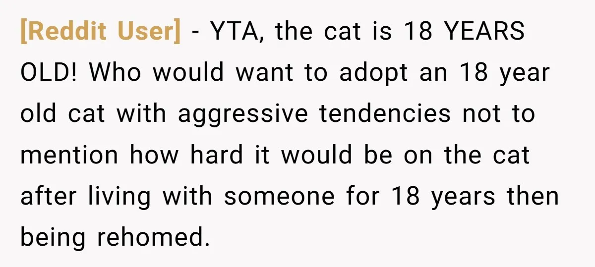 [Reddit User] − YTA, the cat is 18 YEARS OLD! Who would want to adopt an 18 year old cat with aggressive tendencies not to mention how hard it would...