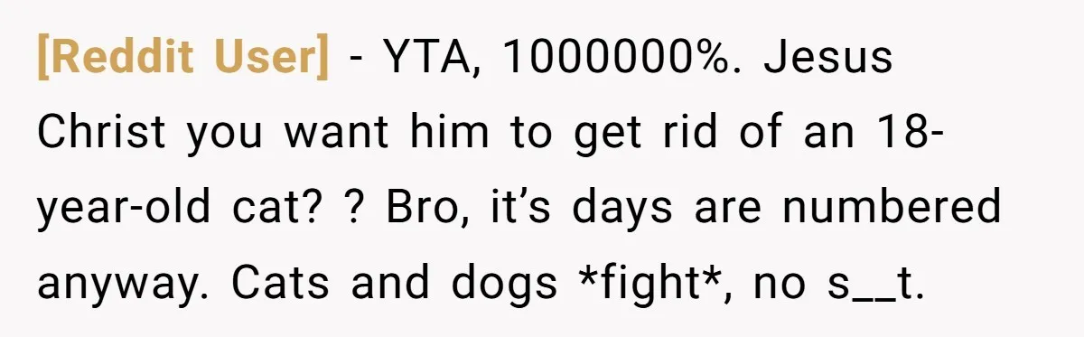 [Reddit User] − YTA, 1000000%. Jesus Christ you want him to get rid of an 18-year-old cat? ? Bro, it’s days are numbered anyway. Cats and dogs *fight*, no s__t.