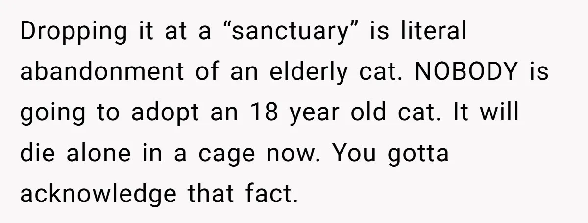 Dropping it at a “sanctuary” is literal abandonment of an elderly cat. NOBODY is going to adopt an 18 year old cat. It will die alone in a cage now....