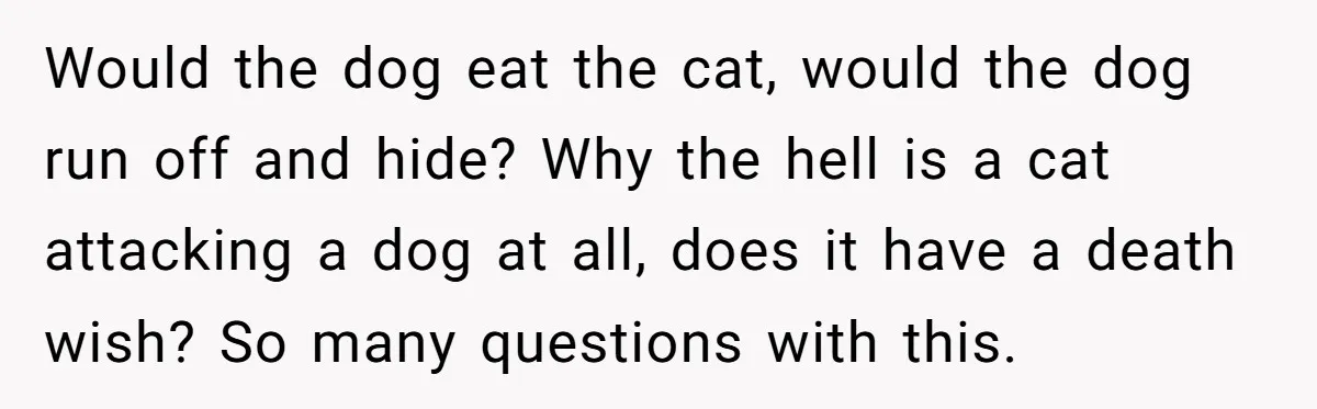 Would the dog eat the cat, would the dog run off and hide? Why the hell is a cat attacking a dog at all, does it have a death wish?...