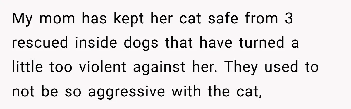 My mom has kept her cat safe from 3 rescued inside dogs that have turned a little too violent against her. They used to not be so aggressive with the...