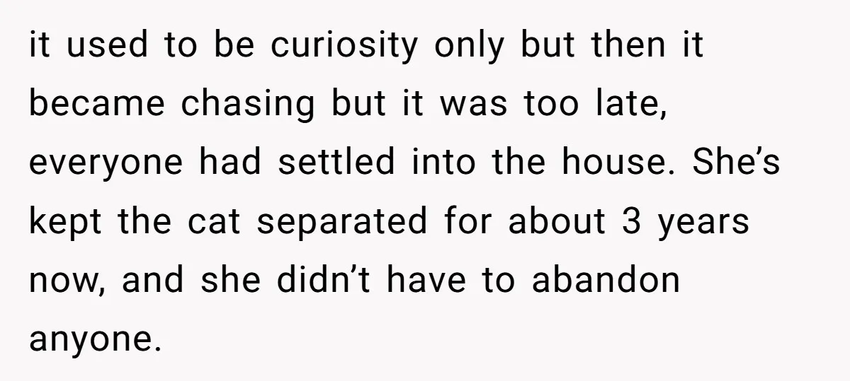 it used to be curiosity only but then it became chasing but it was too late, everyone had settled into the house. She’s kept the cat separated for about 3...