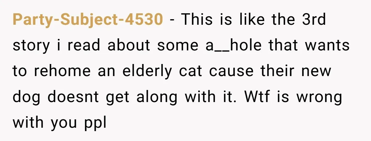 Party-Subject-4530 − This is like the 3rd story i read about some a__hole that wants to rehome an elderly cat cause their new dog doesnt get along with it. Wtf...