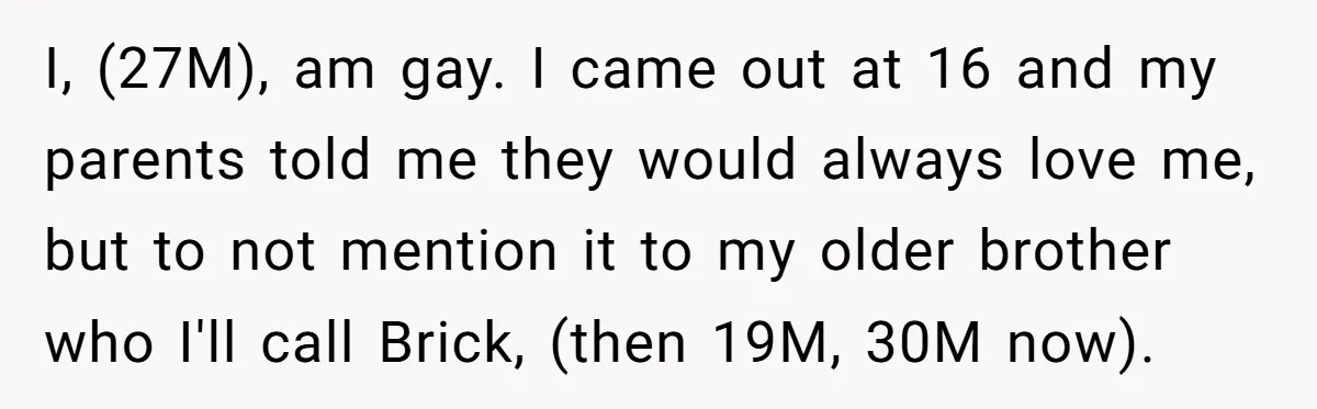 I, (27M), am gay. I came out at 16 and my parents told me they would always love me, but to not mention it to my older brother who I'll...