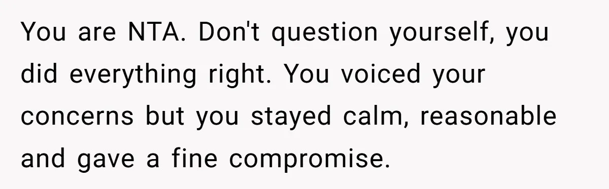 You are NTA. Don't question yourself, you did everything right. You voiced your concerns but you stayed calm, reasonable and gave a fine compromise.