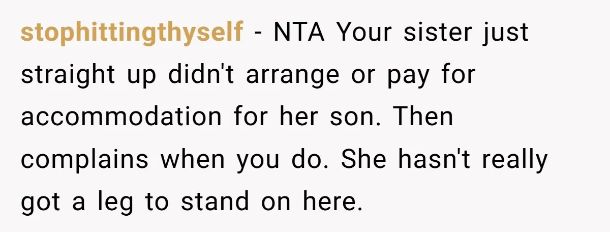 stophittingthyself − NTA Your sister just straight up didn't arrange or pay for accommodation for her son. Then complains when you do. She hasn't really got a leg to stand...