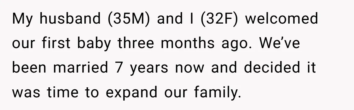 My husband (35M) and I (32F) welcomed our first baby three months ago. We’ve been married 7 years now and decided it was time to expand our family.