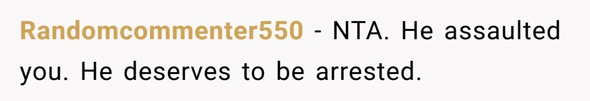 Randomcommenter550 − NTA. He assaulted you. He deserves to be arrested.