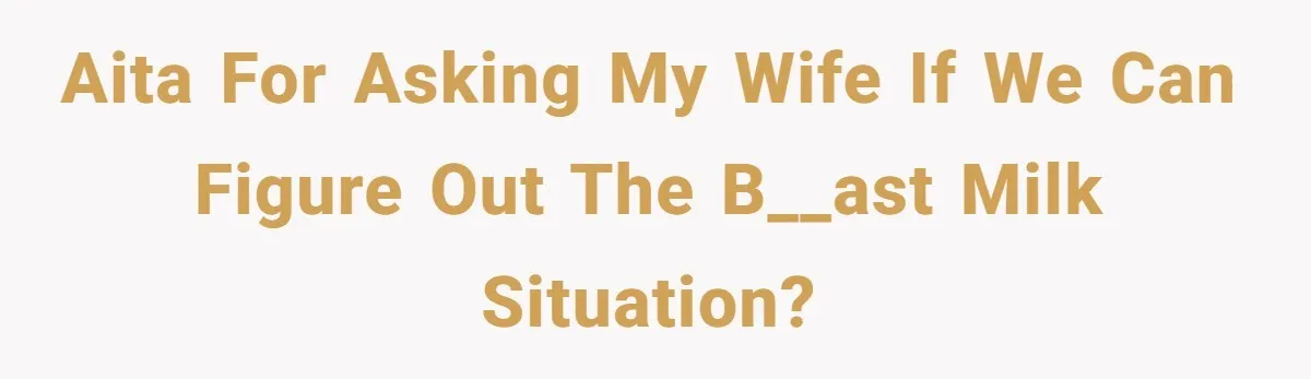 AITA for asking my wife if we can figure out the b__ast milk situation?