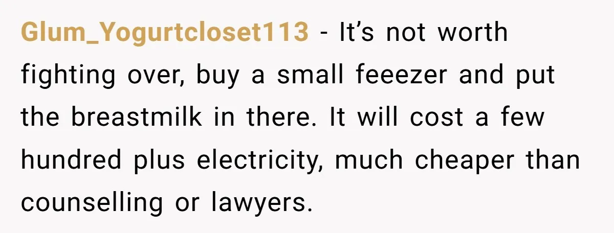Glum_Yogurtcloset113 − It’s not worth fighting over, buy a small feeezer and put the breastmilk in there. It will cost a few hundred plus electricity, much cheaper than counselling or...