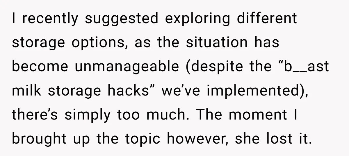 I recently suggested exploring different storage options, as the situation has become unmanageable (despite the “b__ast milk storage hacks” we’ve implemented), there’s simply too much. The moment I brought up...