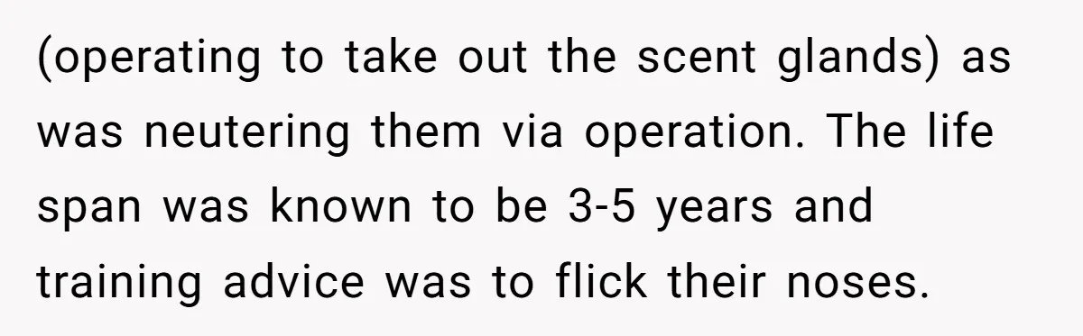 (operating to take out the scent glands) as was neutering them via operation. The life span was known to be 3-5 years and training advice was to flick their noses.