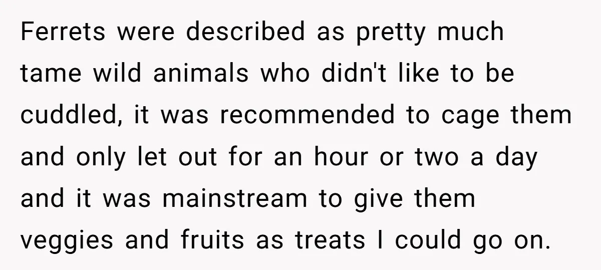 Ferrets were described as pretty much tame wild animals who didn't like to be cuddled, it was recommended to cage them and only let out for an hour or two...