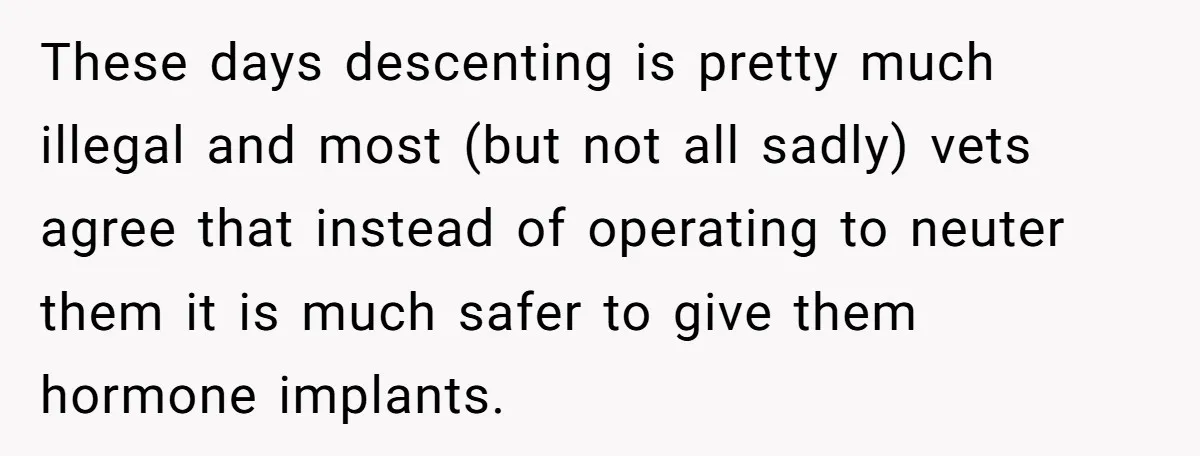 These days descenting is pretty much illegal and most (but not all sadly) vets agree that instead of operating to neuter them it is much safer to give them hormone...