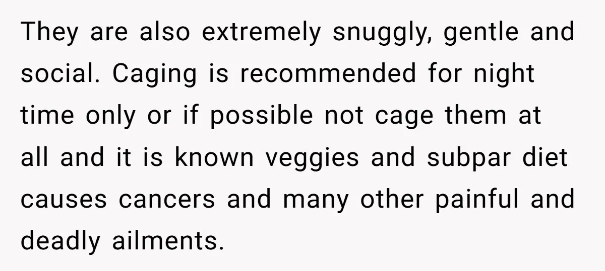They are also extremely snuggly, gentle and social. Caging is recommended for night time only or if possible not cage them at all and it is known veggies and subpar...